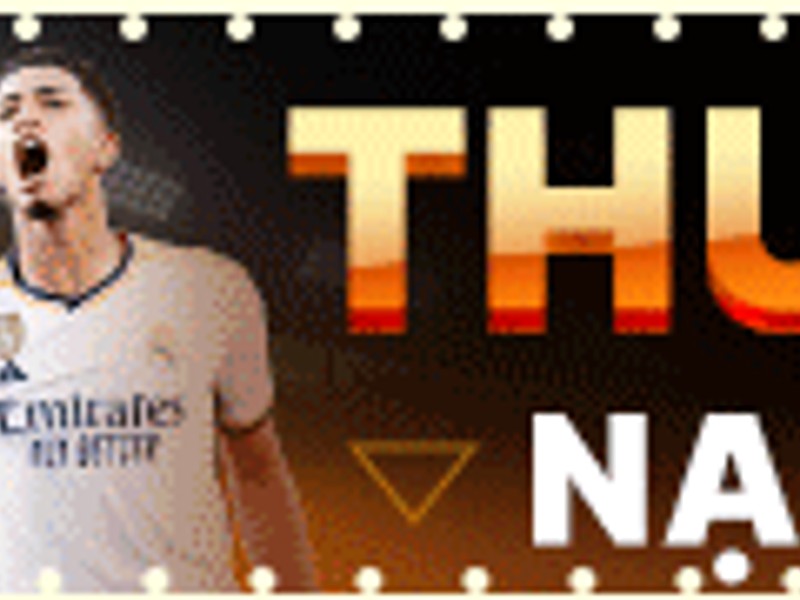 Một chú gà chiến đang được huấn luyện thể lực với sự hướng dẫn của chuyên gia