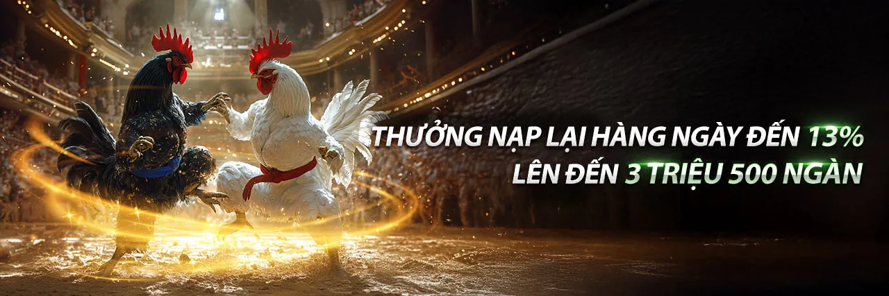 Đá gà Thomo MCW đỉnh cao