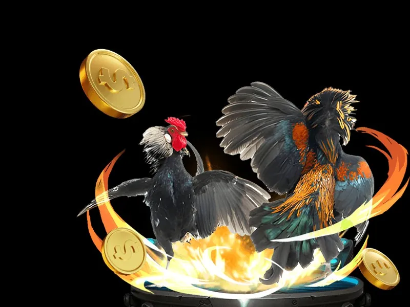 MCW Casino Đá Gà mở rộng kênh phát trực tiếp đá gà