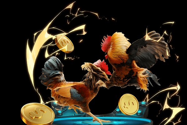 Hệ thống AI phân tích dữ liệu để phát hiện gian lận trong cá cược đá gà